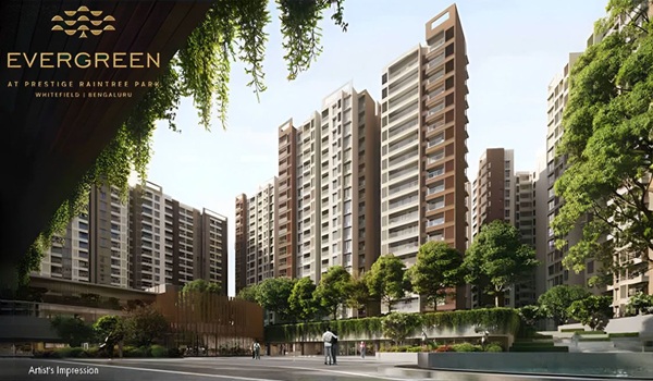 Featured Image of Prestige Evergreen